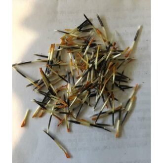 Marigold Seeds