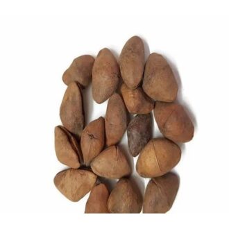 Mulberry Seeds