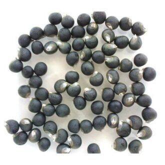 Okra Seeds