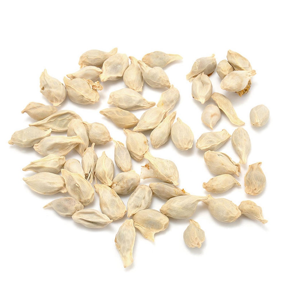 Orange Seeds 100 Grams