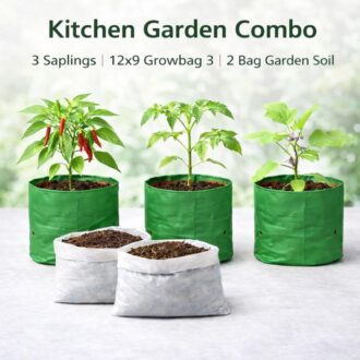 Organic Kitchen Garden Combo (Set of 3)