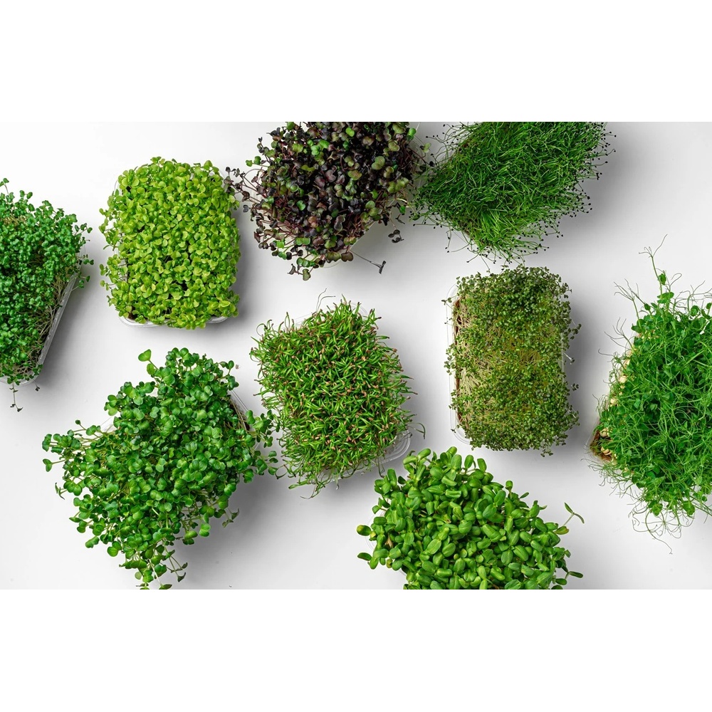 Organic Microgreen Combo 100 Grams