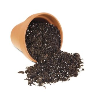 Organic Potting Mix