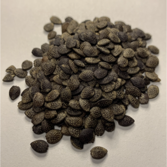 Passion Fruit Seeds 100 Grams
