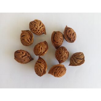 Peach Seeds 100 Grams