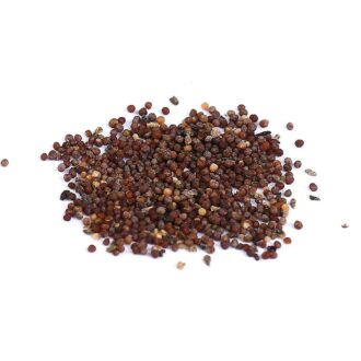 Petunia Seeds 100 Grams