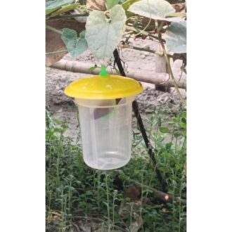 Pheromone Trap for Pests