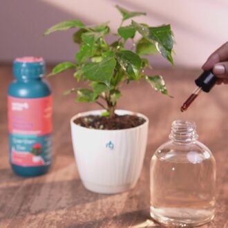 Plant Immunity Booster (Concentrate)