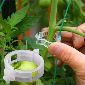 Plant Support Clips (50 pcs)