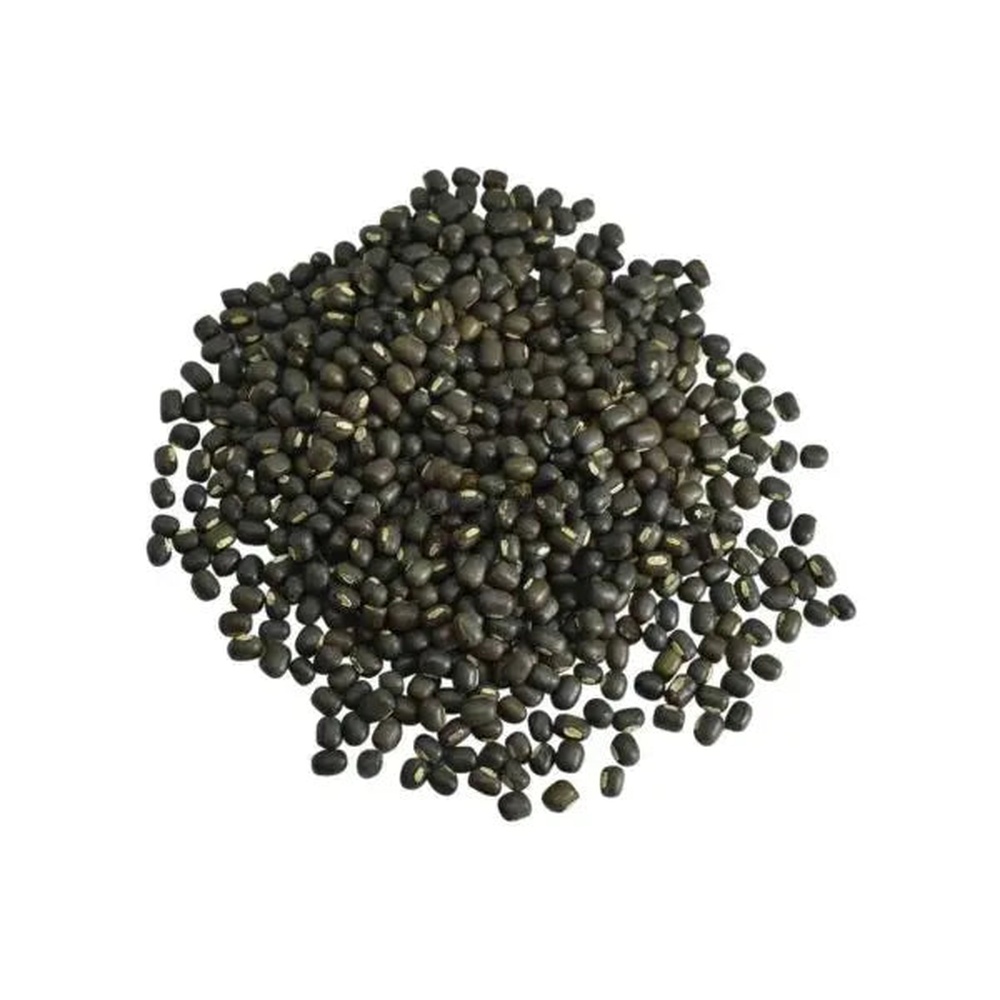 Portulaca Seeds 100 Grams
