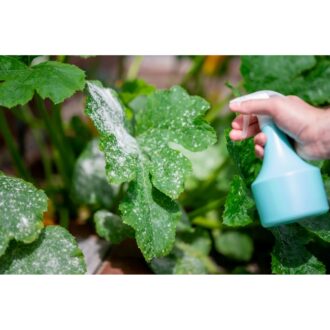 Powdery Mildew Organic Control