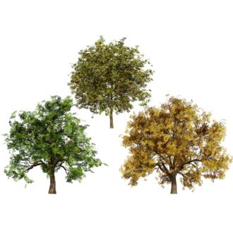 Premium Tree Combo