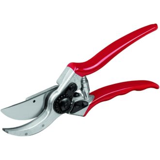 Pruning Shear