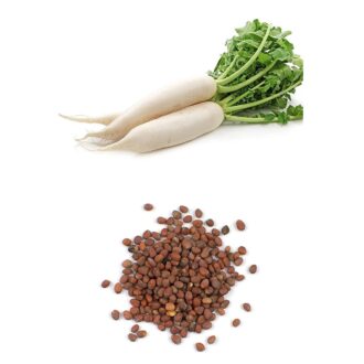 Radish Seeds 100 Grams