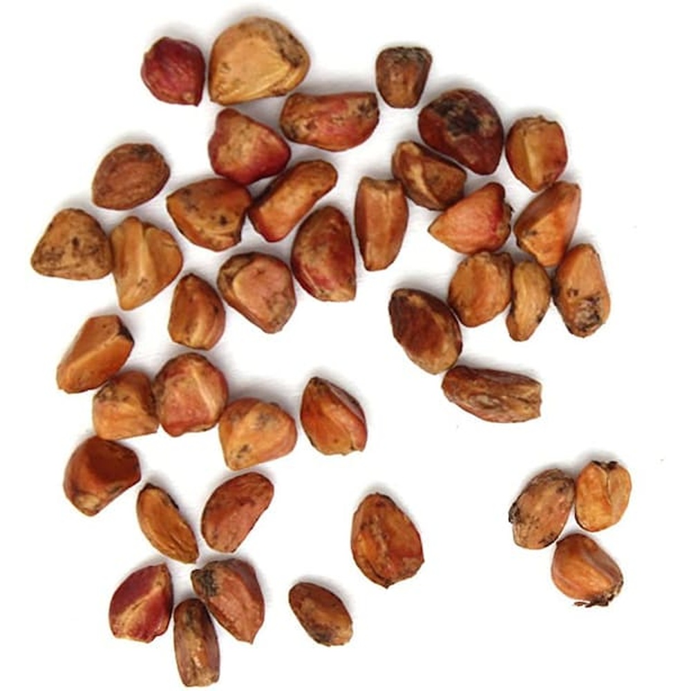 Rose Seeds 100 Grams