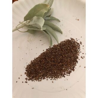 Sage Seeds
