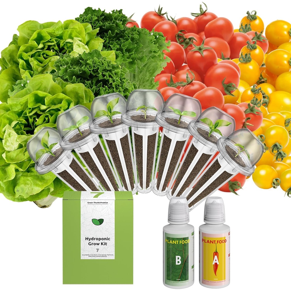 Salad Lover's Seed Kit