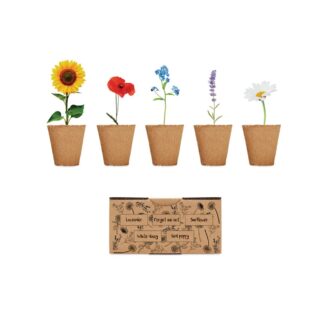 Seasonal Flower Kit