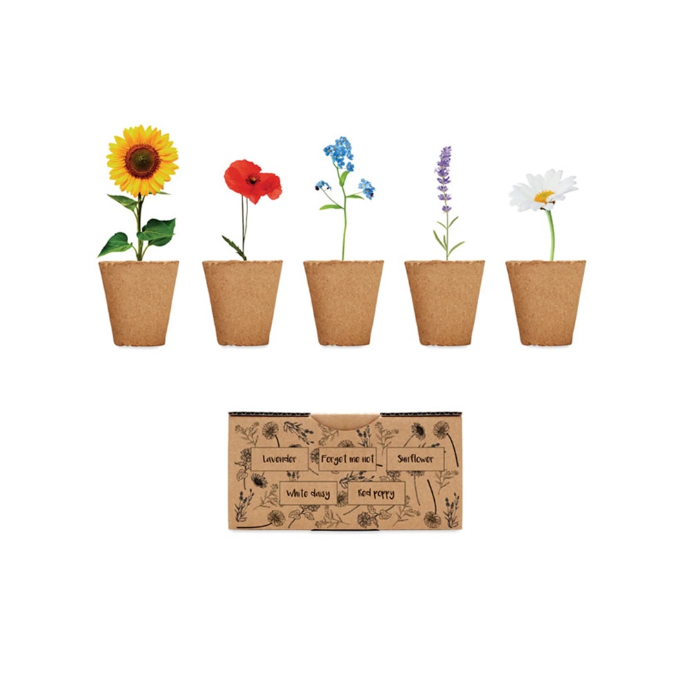Seasonal Flower Kit