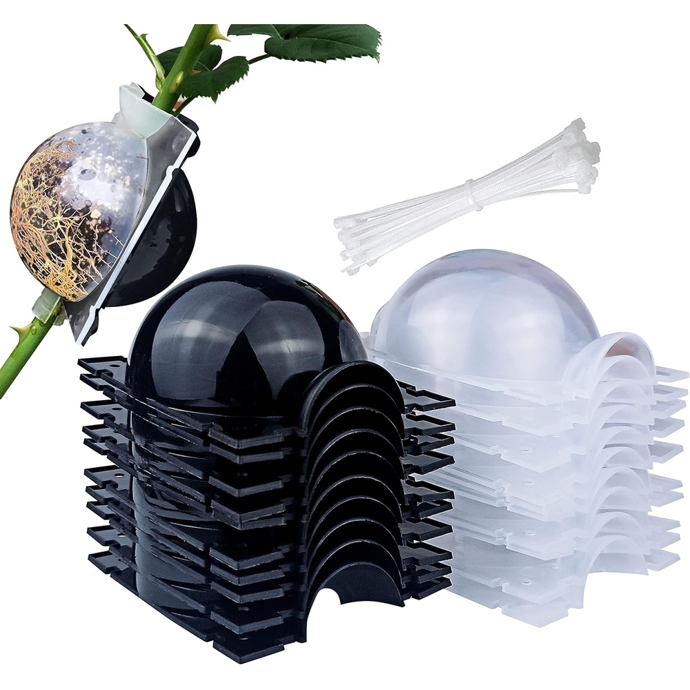 Seed Ball DIY Making Kit
