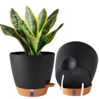 Self Watering Pot