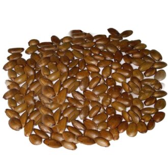Soursop (Laxman Phal) Seeds