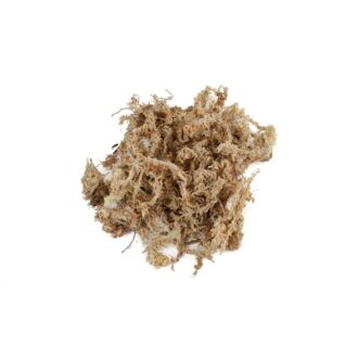 Sphagnum Moss (Dried)