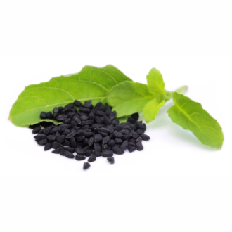 Spring Onion Seeds