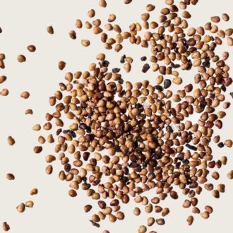 Strawberry Seeds