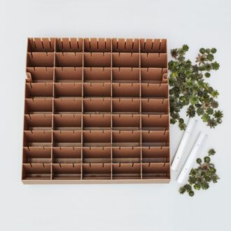 Succulent DIY Kit