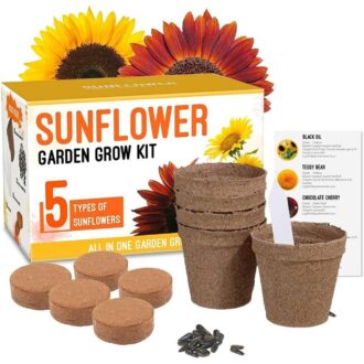 Summer Season Flower Kit
