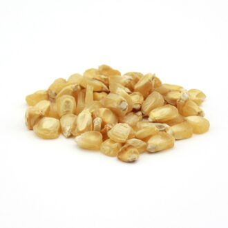 Sweet Corn Seeds