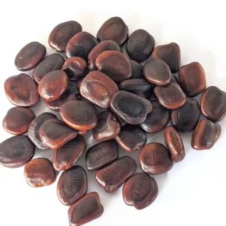 Tamarind Seeds