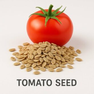 Tomato Hybrid Seeds