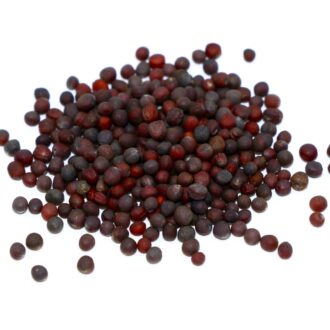 Turnip Seeds
