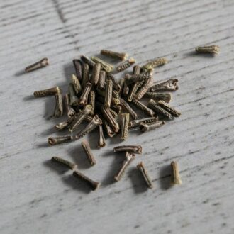 Verbena Seeds