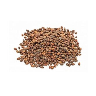 Water Spinach (Kangkong) Seeds