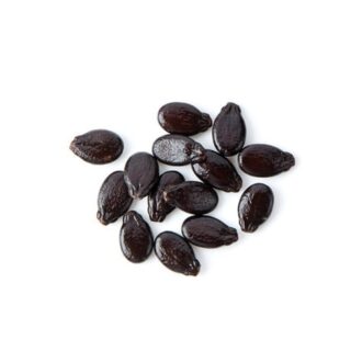 Watermelon Seeds