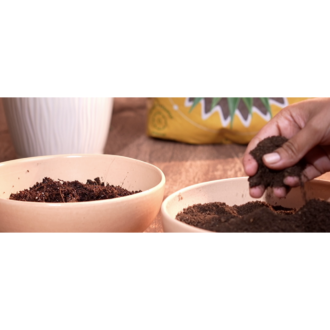 Winter Garden Special Fertilizer