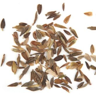 Zinnia Seeds