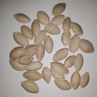 Zucchini Seeds